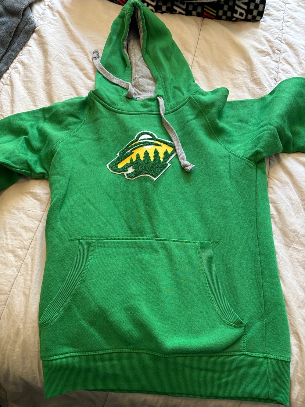Minnesota Wild Embroidered Green Hooded Sweatshirt